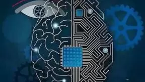 神经技术突破：脑机接口实现双向学习控制轮椅