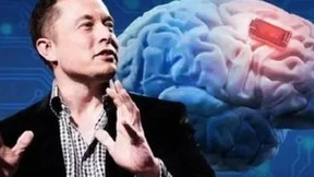 脑机接口：马斯克与政策驱动未来应用