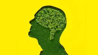 人工智能能源消耗与可持续发展路径