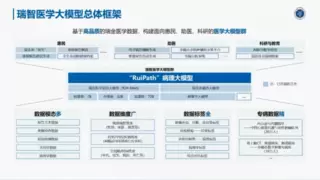 AI病理诊断新突破，智慧医疗助力精准诊疗
