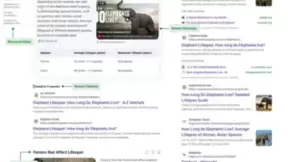 搜索引擎AI功能对比与用户体验优化分析