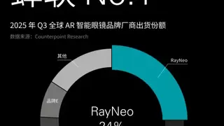 雷鸟创新蝉联全球AR眼镜市场双冠王，中国品牌引领全球产业发展