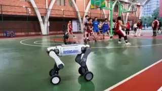 人形机器人现身校园成焦点，AI教育新体验引领智慧校园建设