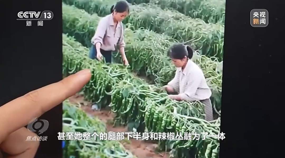 央视揭秘网络直播间 AI 虚假带货