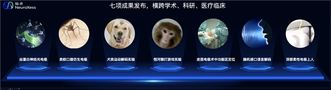文章详情图片