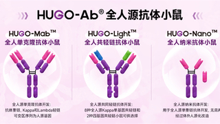 抗体药物开发迎来AI革命，智能计算平台助力新药研发提速