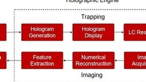 全息显微镜技术突破实时三维成像新境界