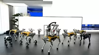 新一代工业级四足机器人阿波罗发布，具身智能进入规模化应用新阶段