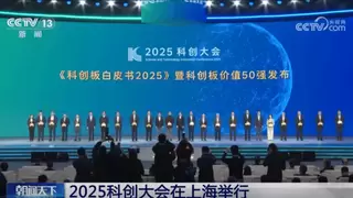 科创板价值50强企业揭晓，人工智能文本智能技术代表企业入选