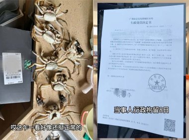 AI伪造图片骗退款被查处，大闸蟹商家维权成功追回损失