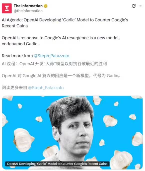 OpenAI 被曝正开发全新 AI大语言模型：代号“大蒜”，性能超越谷歌 Gemini 3