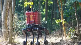 拓斯达四足机器狗“星仔”发布 释放场景拓展信号