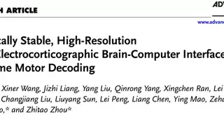 脑机接口新突破：通用型柔性系统实现精准意念操控