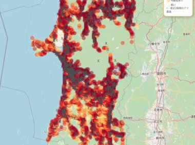 日本发布AI预测地图，精准定位人与熊遭遇高风险区