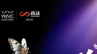 大模型技术突破：泛化性瓶颈与架构革新深度探讨