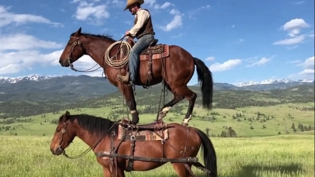 OpenAI推出新款社交视频应用：可对好友进行深度模仿