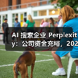AI 搜索企业 Perplexity：公司资金充裕，2028 年前无 IPO 规划（图4）