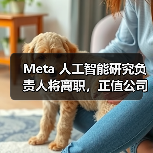 Meta 人工智能研究负责人将离职，正值公司加大 AI 投入之际