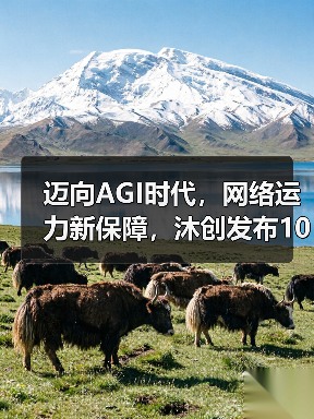 迈向AGI时代，网络运力新保障，沐创发布100G智能网络控制器芯片 N20（图2）