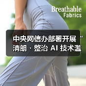 中央网信办部署开展“清朗・整治 AI 技术滥用”专项行动，为期 3 个月（图3）