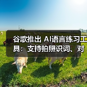 谷歌推出 AI语言练习工具：支持拍照识词、对话练地道口语（图3）