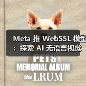 Meta 推 WebSSL 模型：探索 AI 无语言视觉学习，纯图训练媲美 OpenAI CLIP（图1）