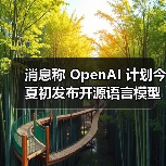消息称 OpenAI 计划今夏初发布开源语言模型，力争推理能力超越同类