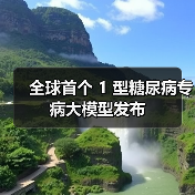 全球首个 1 型糖尿病专病大模型发布(图1) 全球首个 1 型糖尿病专病大模型发布(图1)