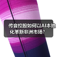 传音控股如何以AI本地化革新非洲市场?(图3) 传音控股如何以AI本地化革新非洲市场?(图3)