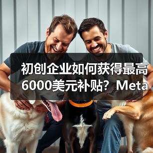 初创企业如何获得最高6000美元补贴?Meta Llama扶持计划详解(图3) 初创企业如何获得最高6000美元补贴?Meta Llama扶持计划详解(图3)