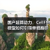 国产超算助力,CellFM模型如何引领单细胞研究新范式(图4) 国产超算助力,CellFM模型如何引领单细胞研究新范式(图4)