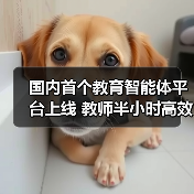 国内首个教育智能体平台上线 教师半小时高效创建教学工具(图1) 国内首个教育智能体平台上线 教师半小时高效创建教学工具(图1)