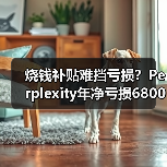 烧钱补贴难挡亏损?Perplexity年净亏损6800万美元背后的策略(图3) 烧钱补贴难挡亏损?Perplexity年净亏损6800万美元背后的策略(图3)