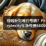 烧钱补贴难挡亏损?Perplexity年净亏损6800万美元背后的策略(图1) 烧钱补贴难挡亏损?Perplexity年净亏损6800万美元背后的策略(图1)