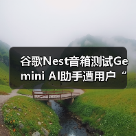 谷歌Nest音箱测试Gemini AI助手遭用户“变砖”？（图4）