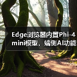 Edge浏览器内置Phi-4 mini模型，端侧AI功能如何落地？（图3）