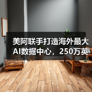 美阿联手打造海外最大AI数据中心，250万英伟达芯片支撑未来（图3）