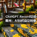 ChatGPT Record功能曝光：AI如何自动转录会议并生成摘要？（图3）