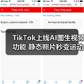 TikTok上线AI图生视频功能 静态照片秒变运动感氛围感创意内容（图2）