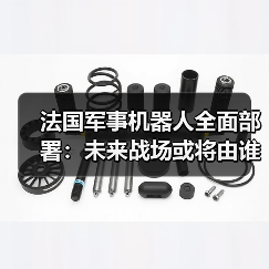 法国军事机器人全面部署：未来战场或将由谁主导？（图4）