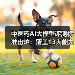 中医药AI大模型评测标准出炉：覆盖13大能力子域，如何推动行业发展？（图2）