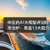 中医药AI大模型评测标准出炉：覆盖13大能力子域，如何推动行业发展？（图4）