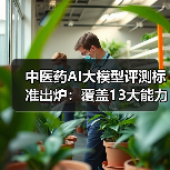 中医药AI大模型评测标准出炉：覆盖13大能力子域，如何推动行业发展？（图3）