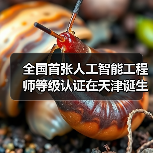全国首张人工智能工程师等级认证在天津诞生！（图2）