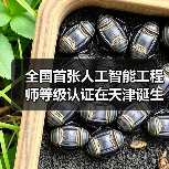 全国首张人工智能工程师等级认证在天津诞生！（图1）