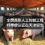 全国首张人工智能工程师等级认证在天津诞生！（图4）