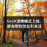 Grok语音模式上线，马斯克昵称改名引关注（图1）