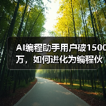 AI编程助手用户破1500万，如何进化为编程伙伴？（图4）