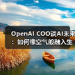 OpenAI COO谈AI未来:如何像空气般融入生活?(图4) OpenAI COO谈AI未来:如何像空气般融入生活?(图4)
