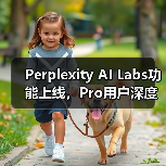 Perplexity AI Labs功能上线,Pro用户深度搜索与代码图像生成全攻略(图2) Perplexity AI Labs功能上线,Pro用户深度搜索与代码图像生成全攻略(图2)